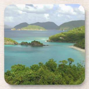 Caribbean, U.S. Virgin Islands, St. John, Trunk 2 Coaster