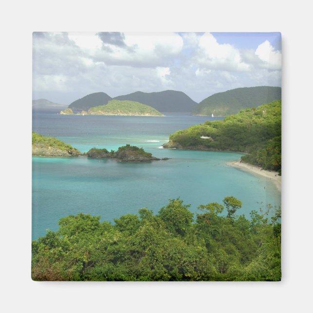 Caribbean, U.S. Virgin Islands, St. John, Trunk 2 Magnet (Front)
