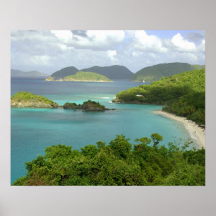 Caribbean, U.S. Virgin Islands, St. John, Trunk 2 Poster