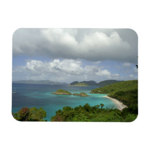 Caribbean, U.S. Virgin Islands, St. John, Trunk 3 Magnet