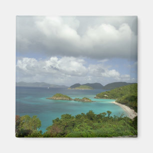 Caribbean, U.S. Virgin Islands, St. John, Trunk 3 Magnet