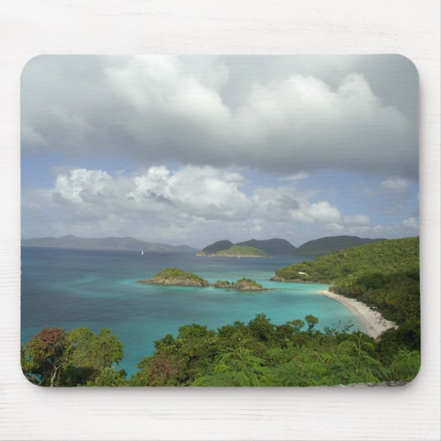 Caribbean, U.S. Virgin Islands, St. John, Trunk 3 Mouse Pad (Front)