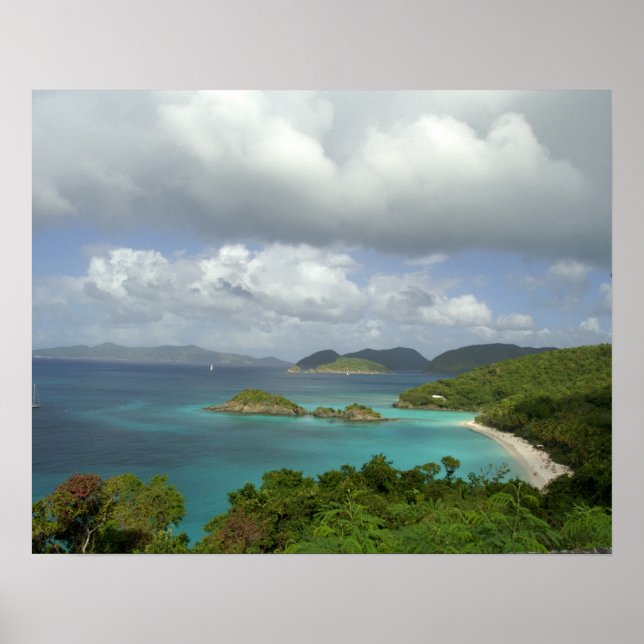 Caribbean, U.S. Virgin Islands, St. John, Trunk 3 Poster (Front)