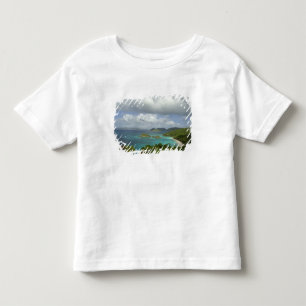 Caribbean, U.S. Virgin Islands, St. John, Trunk 3 Toddler T-Shirt