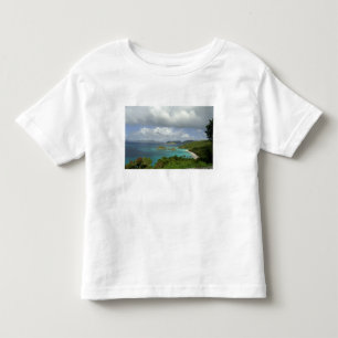 Caribbean, U.S. Virgin Islands, St. John, Trunk 3 Toddler T-Shirt