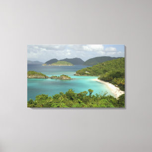 Caribbean, U.S. Virgin Islands, St. John, Trunk Canvas Print