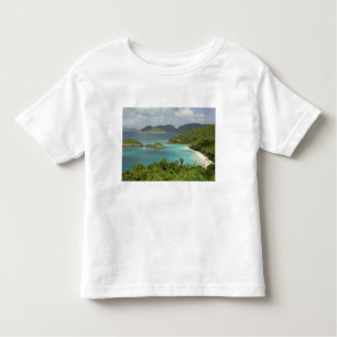 Caribbean, U.S. Virgin Islands, St. John, Trunk Toddler T-Shirt