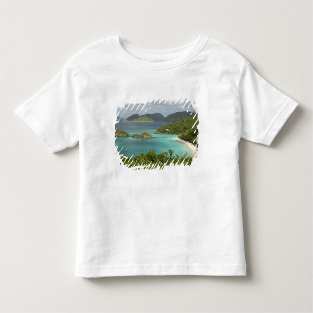 Caribbean, U.S. Virgin Islands, St. John, Trunk Toddler T-Shirt (Front)