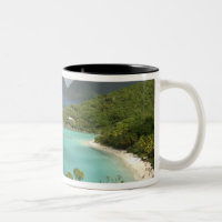 Caribbean, U.S. Virgin Islands, St. John, Trunk