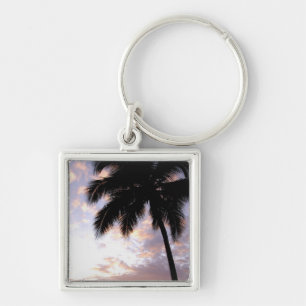 Caribbean, U.S. Virgin Islands, St.Thomas, 3 Key Ring
