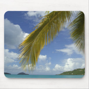 Caribbean, U.S. Virgin Islands, St.Thomas, Mouse Pad