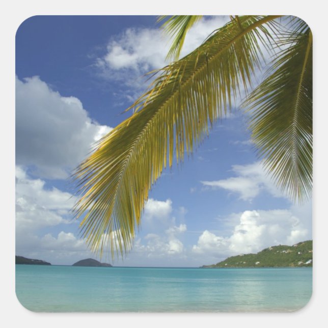 Caribbean, U.S. Virgin Islands, St.Thomas, Square Sticker (Front)