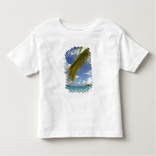 Caribbean, U.S. Virgin Islands, St.Thomas, Toddler T-Shirt