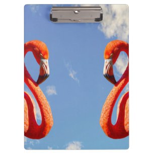 Caribbeans Flamingo pair Clipboard