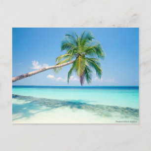 caribean beach post card