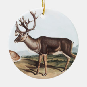 Caribou, American Rein Deer (Tarandus furcifer) Ceramic Tree Decoration