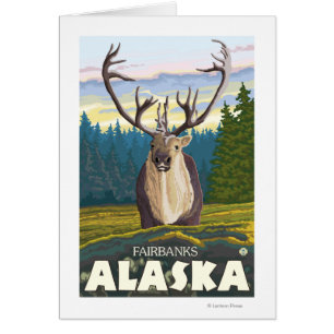 Caribou in the Wild - Fairbanks, Alaska