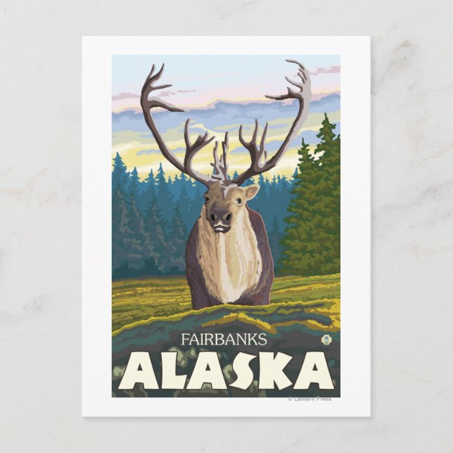 Caribou in the Wild - Fairbanks, Alaska Postcard (Front)