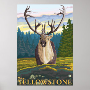Caribou in the Wild - West Yellowstone, MT Poster