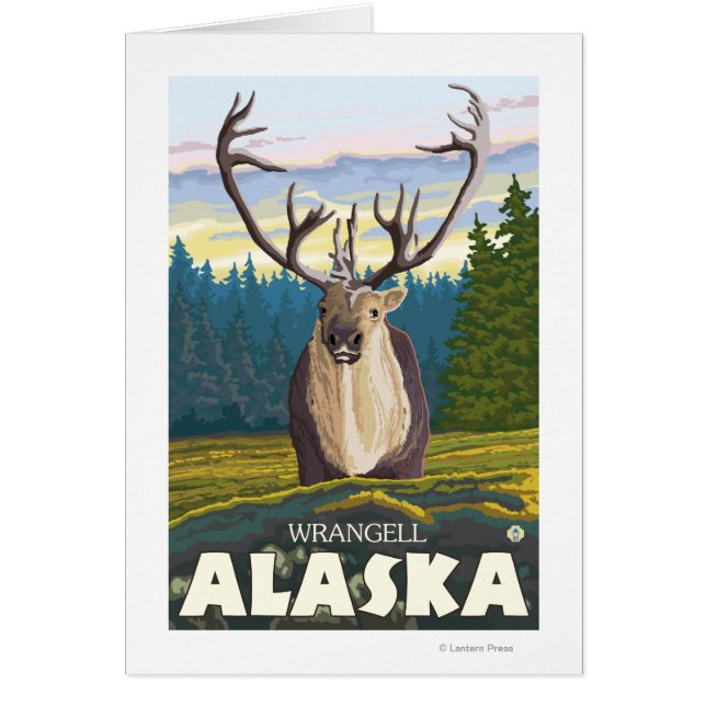 Caribou in the Wild - Wrangell, Alaska (Front)