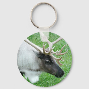 Caribou Key Ring