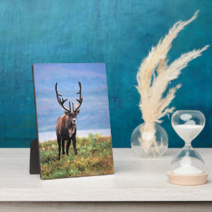 Caribou or Reindeer   Denali National Park, Alaska Plaque