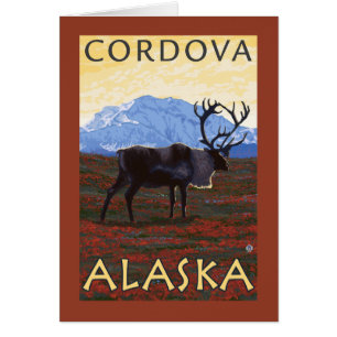 Caribou Scene - Cordova, Alaska