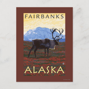 Caribou Scene - Fairbanks, Alaska Postcard