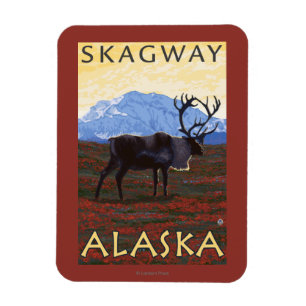 Caribou Scene - Skagway, Alaska Magnet