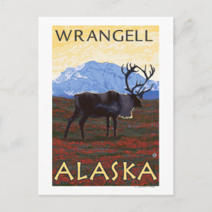 Caribou Scene - Wrangell, Alaska Postcard
