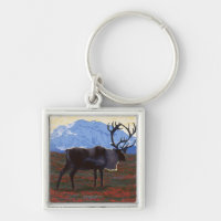 Caribou Scene - Yukon, Alaska