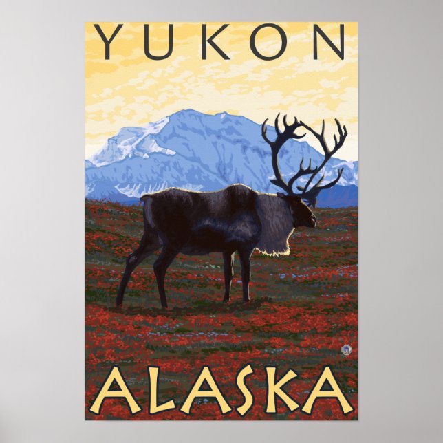 Caribou Scene - Yukon, Alaska Poster (Front)