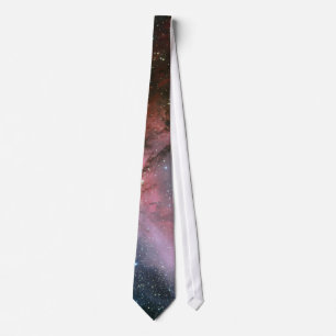 Carina Nebula around the Wolf–Rayet star WR 22 Tie