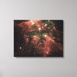 Carina Nebula Canvas Print