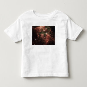 Carina Nebula Toddler T-Shirt