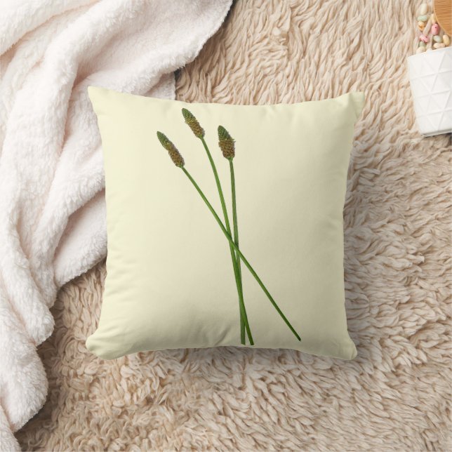 Carl Doddy  Cushion (Blanket)