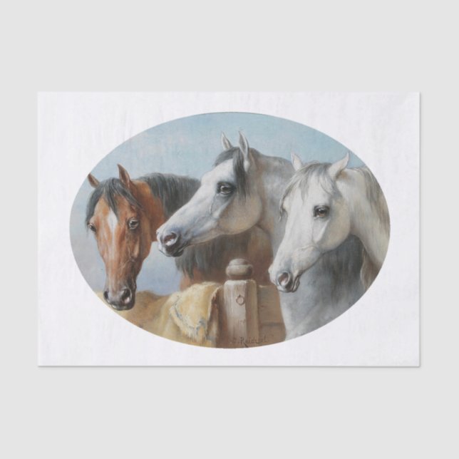 Carl Richert | Horses Tissue Paper (Front)