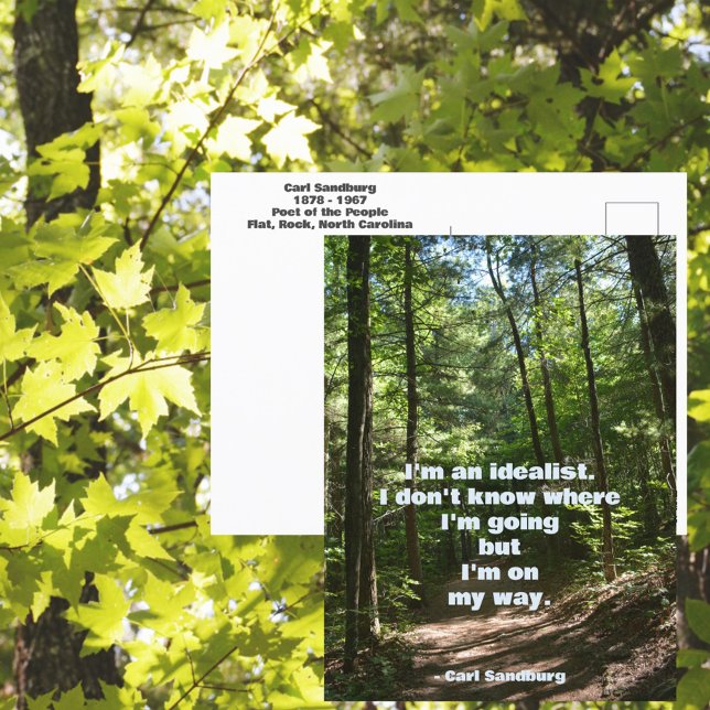 Carl Sandburg I'm an Idealist Quote Photographic Postcard (Creator Uploaded)