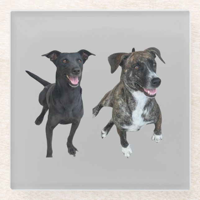 Carlos dogs glass coaster (Front)