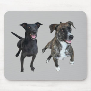 Carlos dogs mouse pad