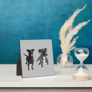 Carlos dogs plaque