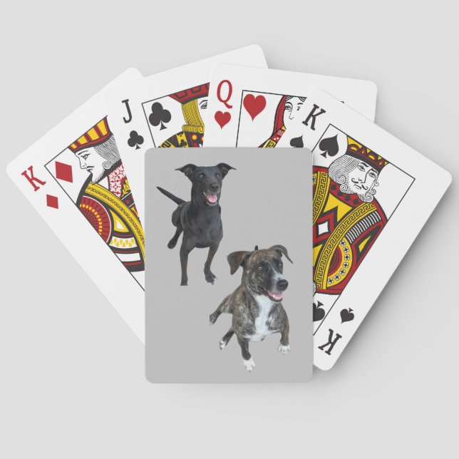 Carlos dogs playing cards (Back)