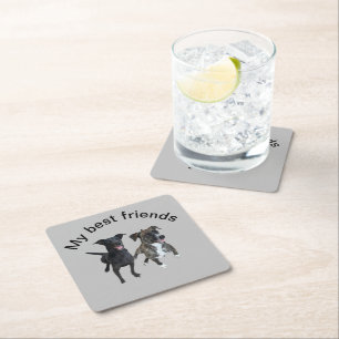 Carlos dogs Square Paper Coaster