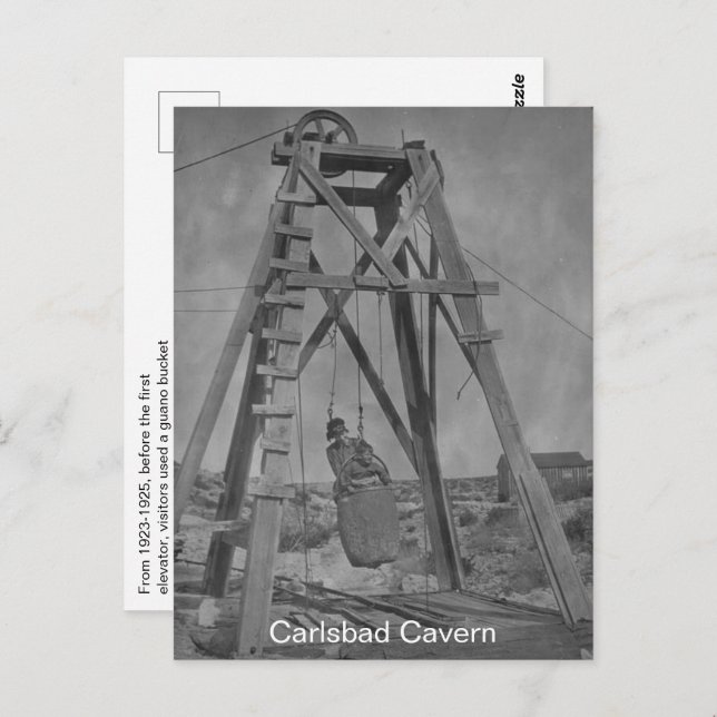 Carlsbad Cavern Fun Fact Postcard (Front/Back)
