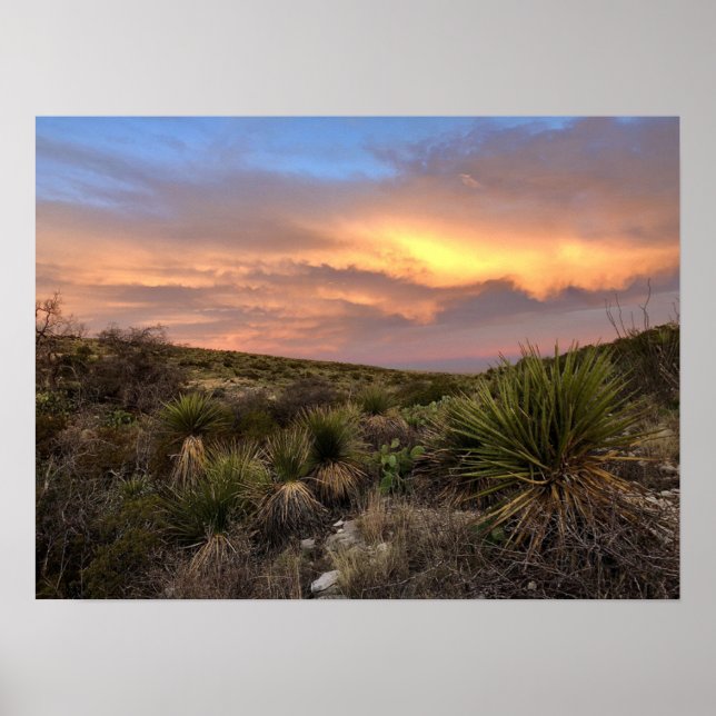 Carlsbad Caverns Desert Poster (Front)