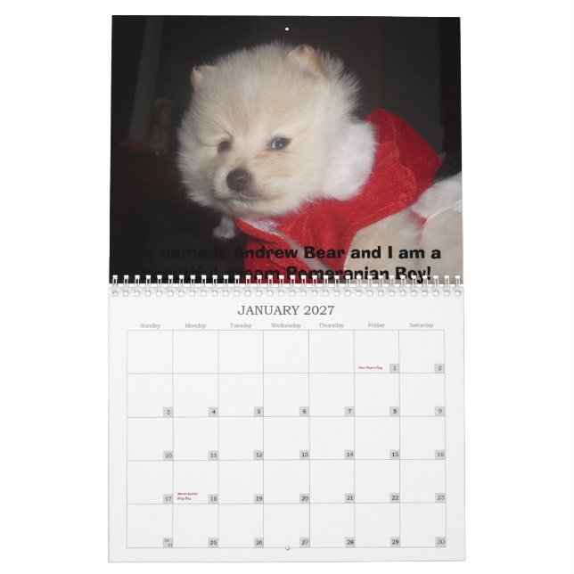 Carma's Pomeranian's Calendar (Jan 2027)