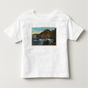 Carmel, CA - Rugged Coast on Point Lobos Toddler T-Shirt