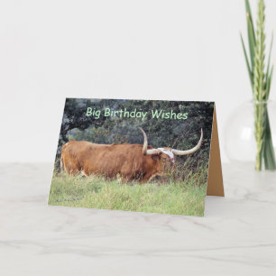 Carmel Longhorn-customise any occasion Card