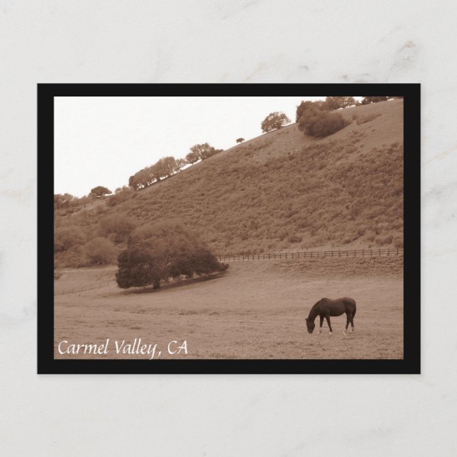 Carmel Valley Postcard (Front)