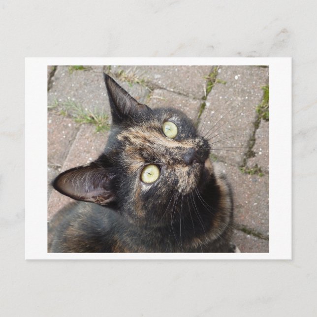 Carmen Postcard (Front)